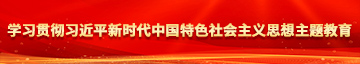 骚逼逼影院学习贯彻习近平新时代中国特色社会主义思想主题教育